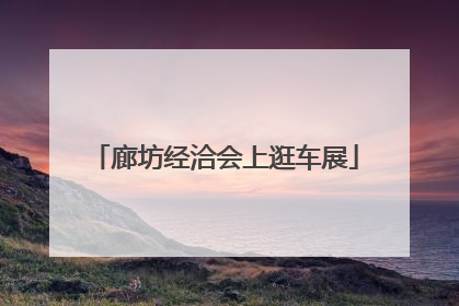 廊坊经洽会上逛车展