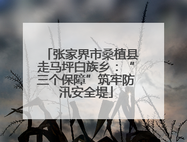 张家界市桑植县走马坪白族乡：“三个保障”筑牢防汛安全堤