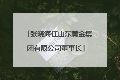 张晓海任山东黄金集团有限公司董事长