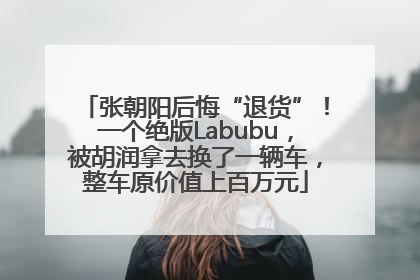 张朝阳后悔“退货”！一个绝版Labubu，被胡润拿去换了一辆车，整车原价值上百万元