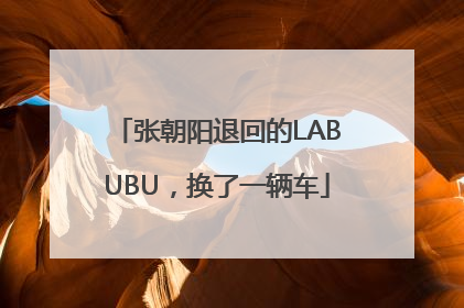 张朝阳退回的LABUBU，换了一辆车