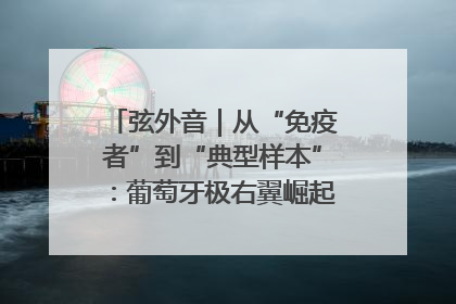 弦外音｜从“免疫者”到“典型样本”：葡萄牙极右翼崛起背后的欧洲困局