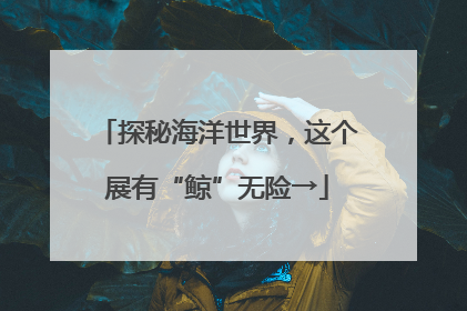 探秘海洋世界，这个展有“鲸”无险→