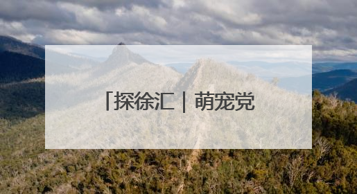 探徐汇｜萌宠党狂喜！徐汇滨江解锁“宠物游轮+天台乐园”双玩法