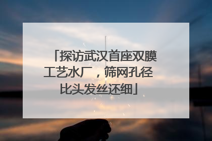 探访武汉首座双膜工艺水厂，筛网孔径比头发丝还细