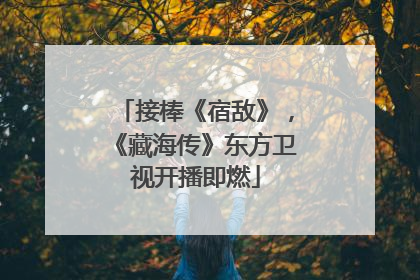 接棒《宿敌》，《藏海传》东方卫视开播即燃