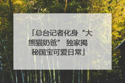 总台记者化身“大熊猫奶爸” 独家揭秘国宝可爱日常