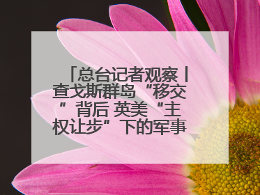 总台记者观察丨查戈斯群岛“移交”背后 英美“主权让步”下的军事霸权固守