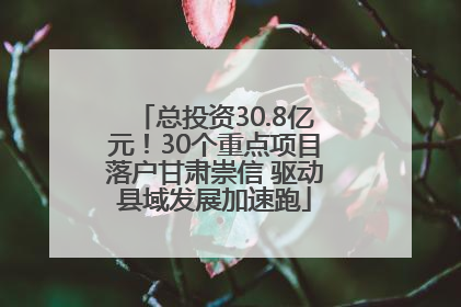 总投资30.8亿元！30个重点项目落户甘肃崇信 驱动县域发展加速跑