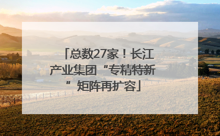 总数27家！长江产业集团“专精特新”矩阵再扩容