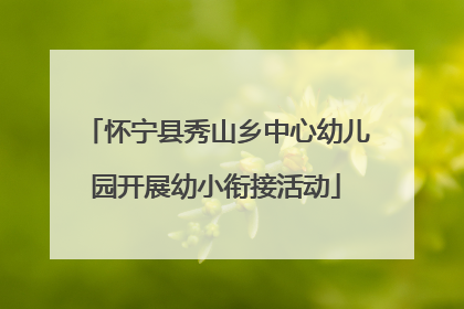 怀宁县秀山乡中心幼儿园开展幼小衔接活动
