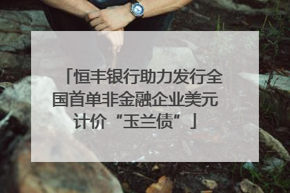恒丰银行助力发行全国首单非金融企业美元计价“玉兰债”