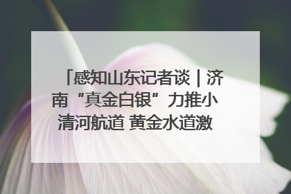 感知山东记者谈｜济南“真金白银”力推小清河航道 黄金水道激活区域经济新动能