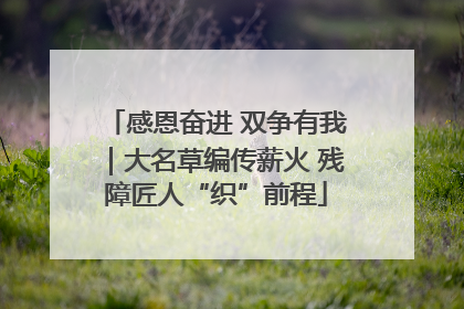 感恩奋进 双争有我｜大名草编传薪火 残障匠人“织”前程