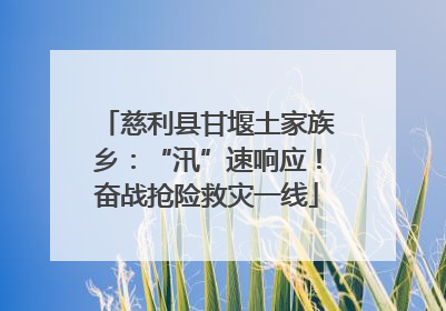 慈利县甘堰土家族乡：“汛”速响应！奋战抢险救灾一线