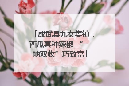 成武县九女集镇：西瓜套种辣椒 “一地双收”巧致富