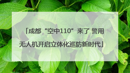 成都“空中110”来了 警用无人机开启立体化巡防新时代
