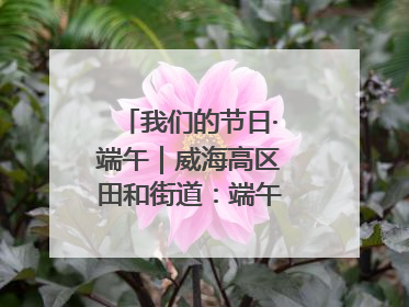 我们的节日·端午｜威海高区田和街道：端午薪火续长卷，邻里馨香聚暖流