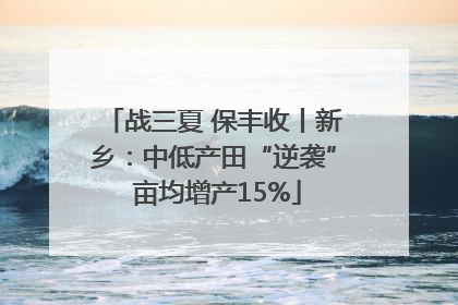 战三夏 保丰收丨新乡：中低产田“逆袭” 亩均增产15%