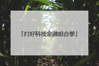 打好科技金融组合拳