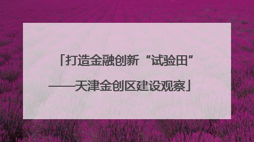打造金融创新“试验田”——天津金创区建设观察