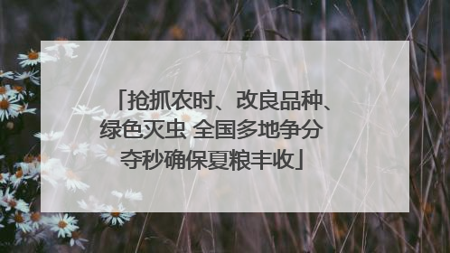 抢抓农时、改良品种、绿色灭虫 全国多地争分夺秒确保夏粮丰收