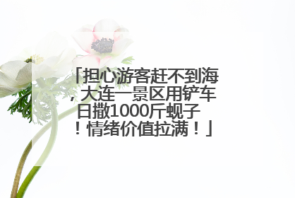担心游客赶不到海，大连一景区用铲车日撒1000斤蚬子！情绪价值拉满！