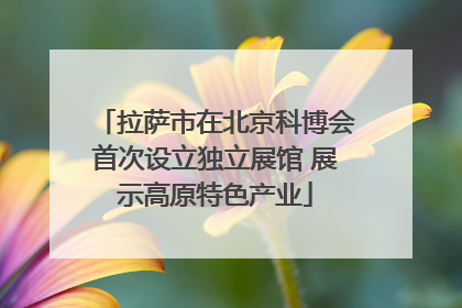 拉萨市在北京科博会首次设立独立展馆 展示高原特色产业