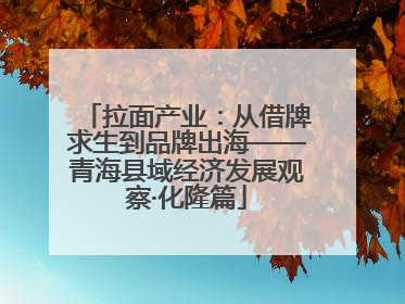 拉面产业：从借牌求生到品牌出海——青海县域经济发展观察·化隆篇