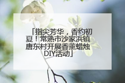 指尖芳华，香约初夏！常熟市沙家浜镇唐东村开展香薰蜡烛DIY活动
