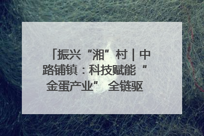 振兴“湘”村｜中路铺镇：科技赋能“金蛋产业” 全链驱动乡村振兴