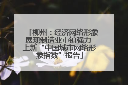 柳州：经济网络形象展现制造业重镇强力 上新“中国城市网络形象指数”报告