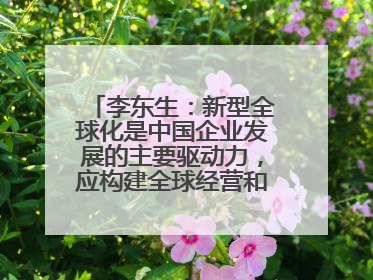 李东生：新型全球化是中国企业发展的主要驱动力，应构建全球经营和供应链体系