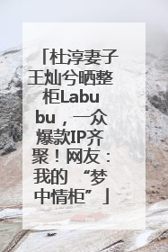 杜淳妻子王灿兮晒整柜Labubu，一众爆款IP齐聚！网友：我的 “梦中情柜”