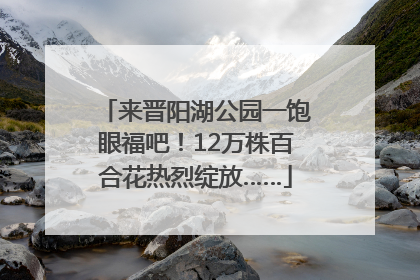来晋阳湖公园一饱眼福吧！12万株百合花热烈绽放……
