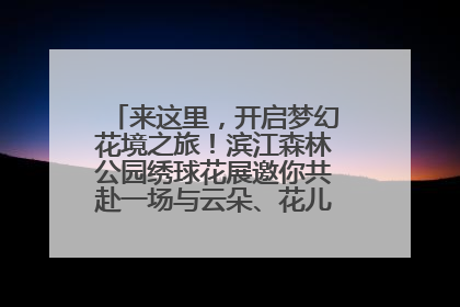 来这里，开启梦幻花境之旅！滨江森林公园绣球花展邀你共赴一场与云朵、花儿的浪漫之约