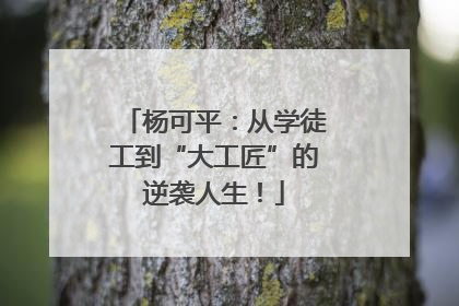 杨可平：从学徒工到“大工匠”的逆袭人生！