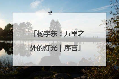 杨宇东：万里之外的灯光｜序言
