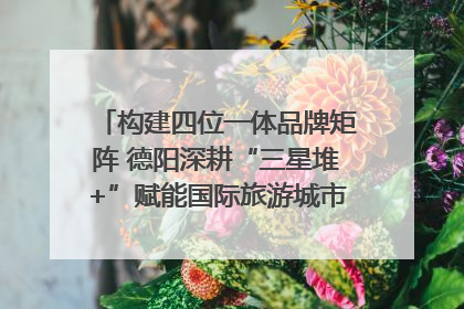 构建四位一体品牌矩阵 德阳深耕“三星堆+”赋能国际旅游城市建设｜文旅局长说