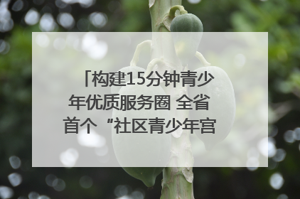 构建15分钟青少年优质服务圈 全省首个“社区青少年宫”落地成都成华区｜一老一小总关情