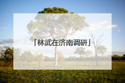 林武在济南调研