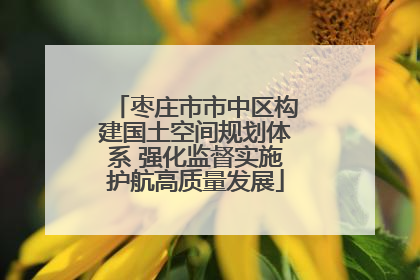 枣庄市市中区构建国土空间规划体系 强化监督实施护航高质量发展