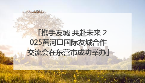 携手友城 共赴未来 2025黄河口国际友城合作交流会在东营市成功举办