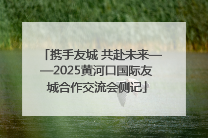 携手友城 共赴未来——2025黄河口国际友城合作交流会侧记