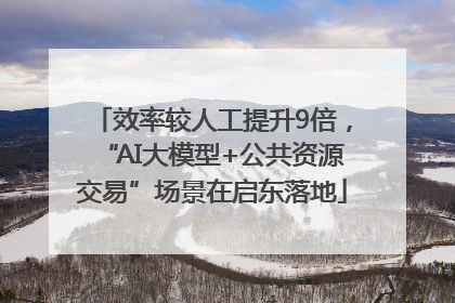 效率较人工提升9倍，“AI大模型+公共资源交易”场景在启东落地