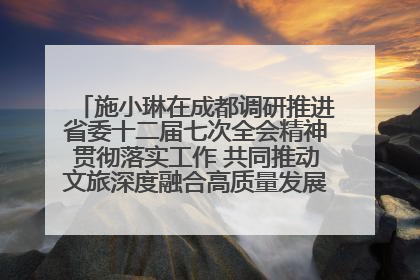 施小琳在成都调研推进省委十二届七次全会精神贯彻落实工作 共同推动文旅深度融合高质量发展 加快打造支柱产业民生产业幸福产业
