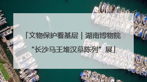 文物保护看基层｜湖南博物院“长沙马王堆汉墓陈列”展