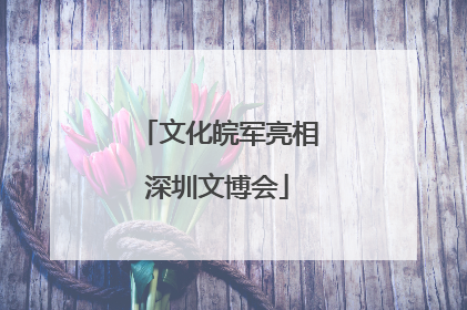 文化皖军亮相深圳文博会