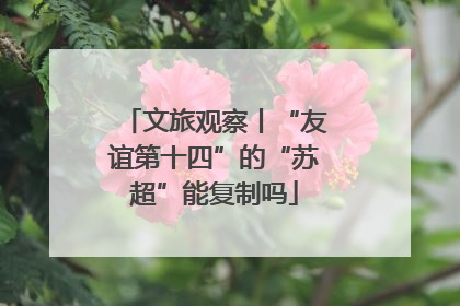 文旅观察丨“友谊第十四”的“苏超”能复制吗