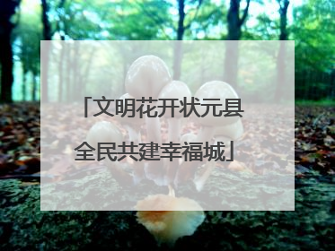 文明花开状元县 全民共建幸福城